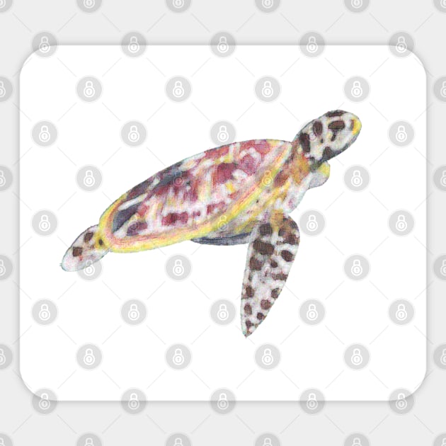 Watercolour Turtle Sticker by theartistmusician